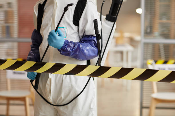 Professional Sewage Cleanup technician working in Alto, GA